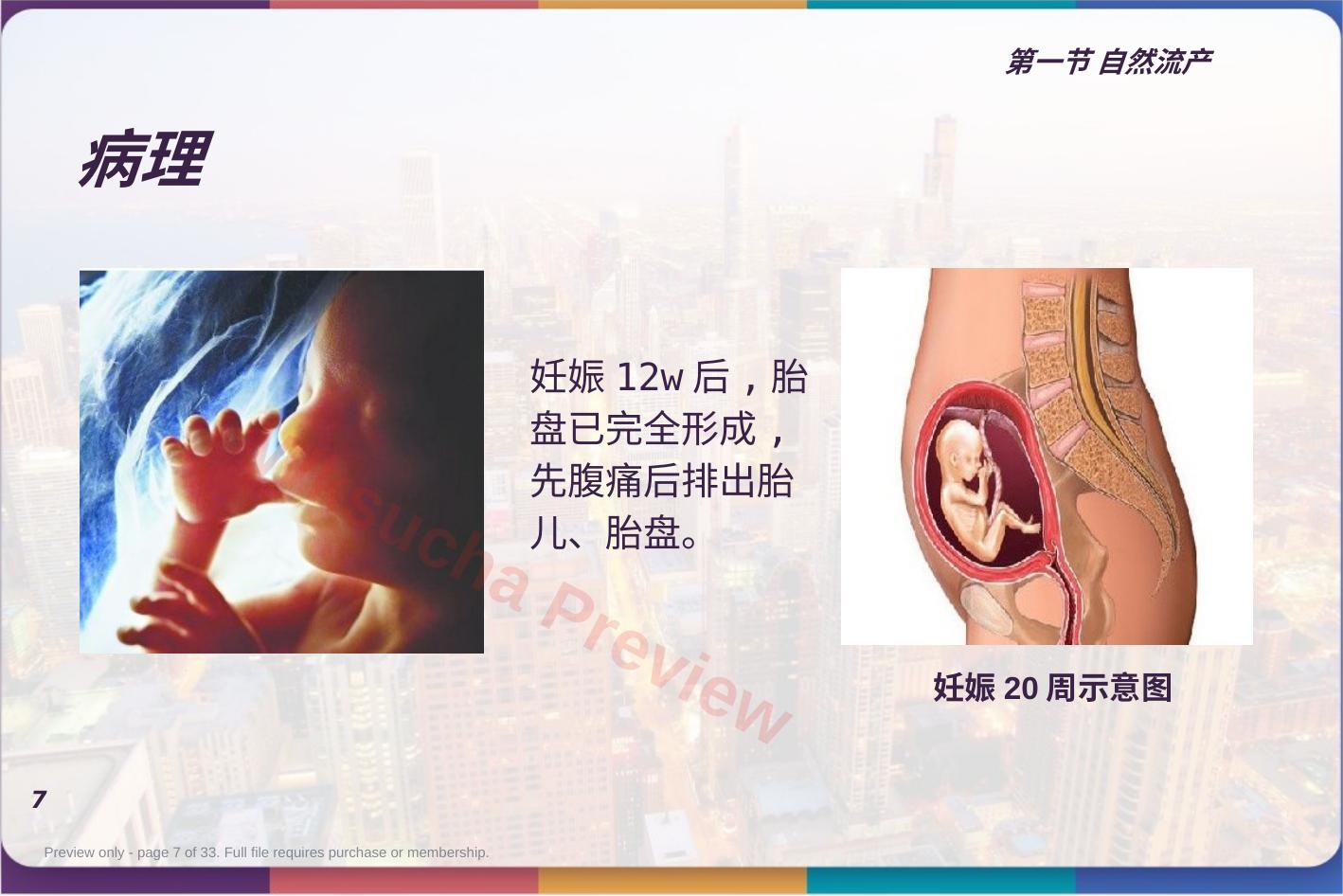 预览第 7 页
