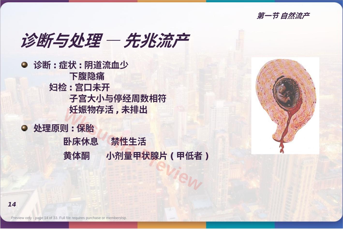 预览第 14 页