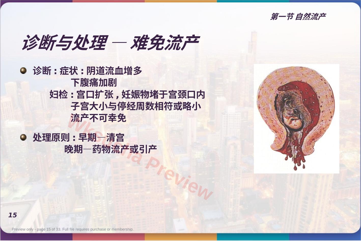 预览第 15 页