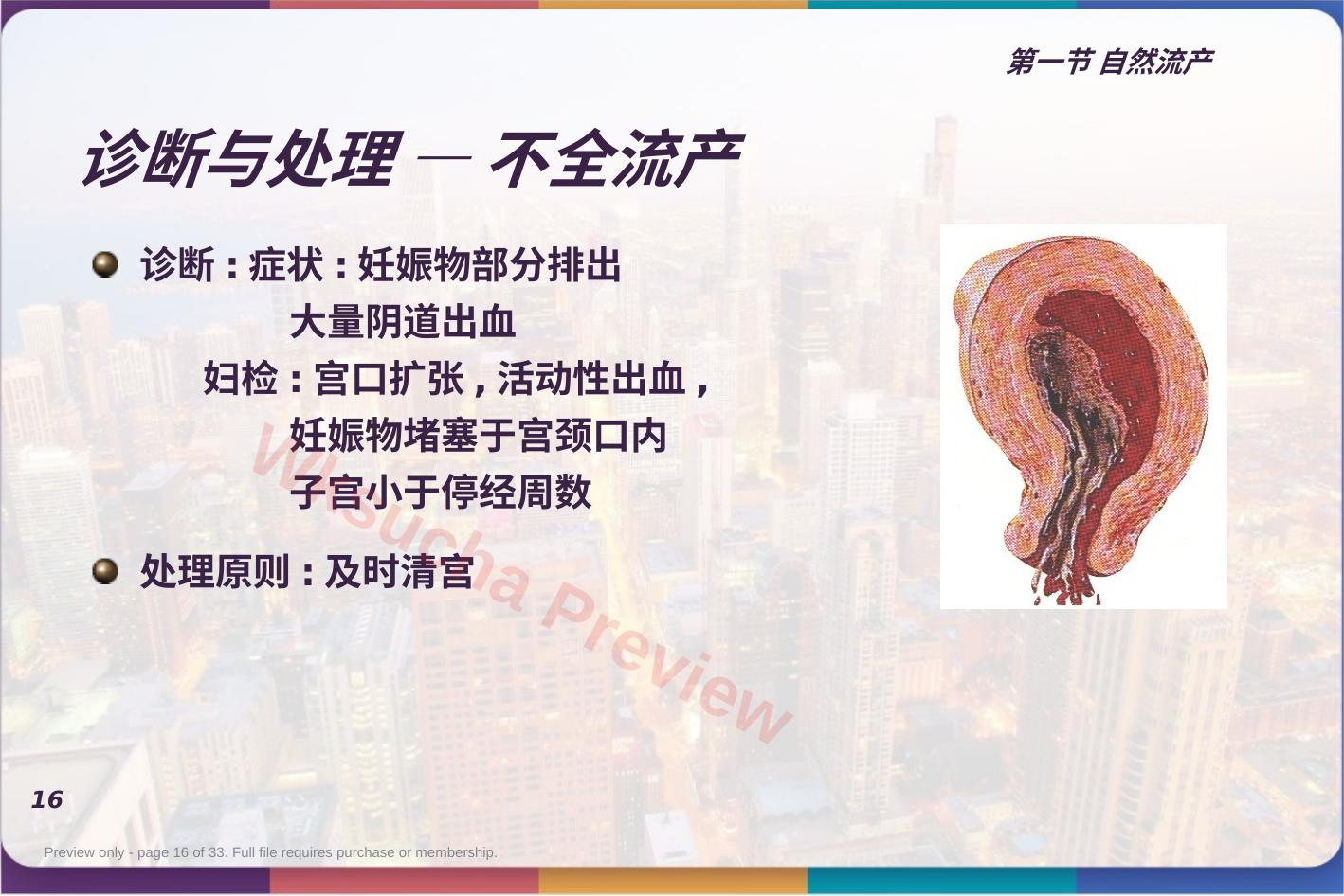预览第 16 页