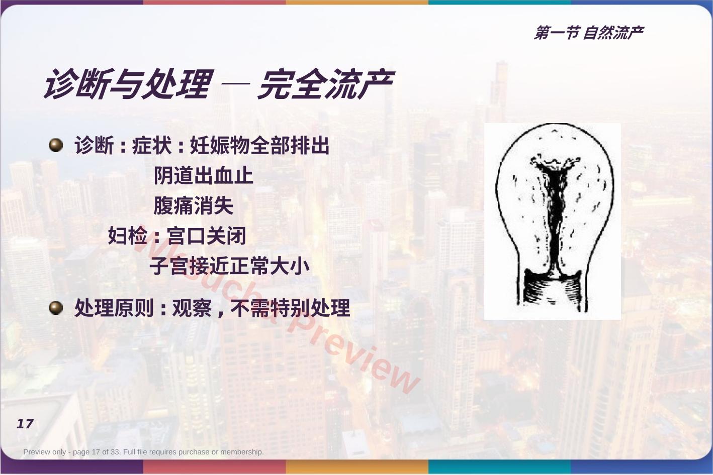 预览第 17 页