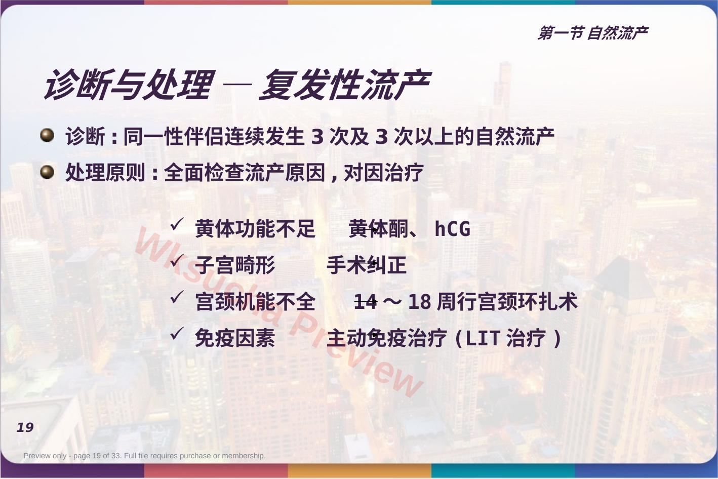 预览第 19 页