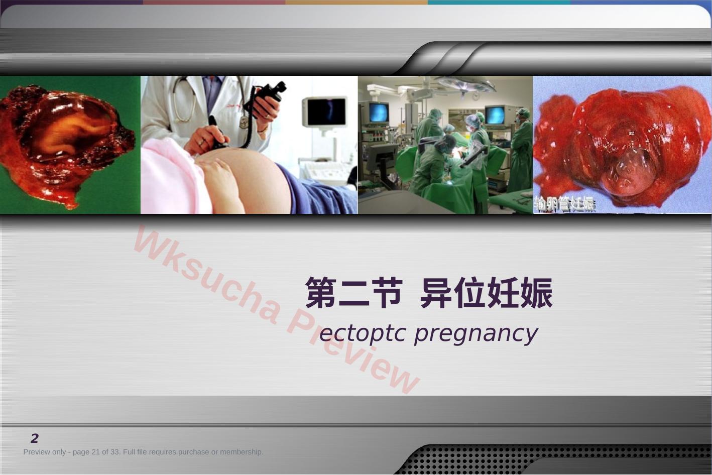 预览第 21 页