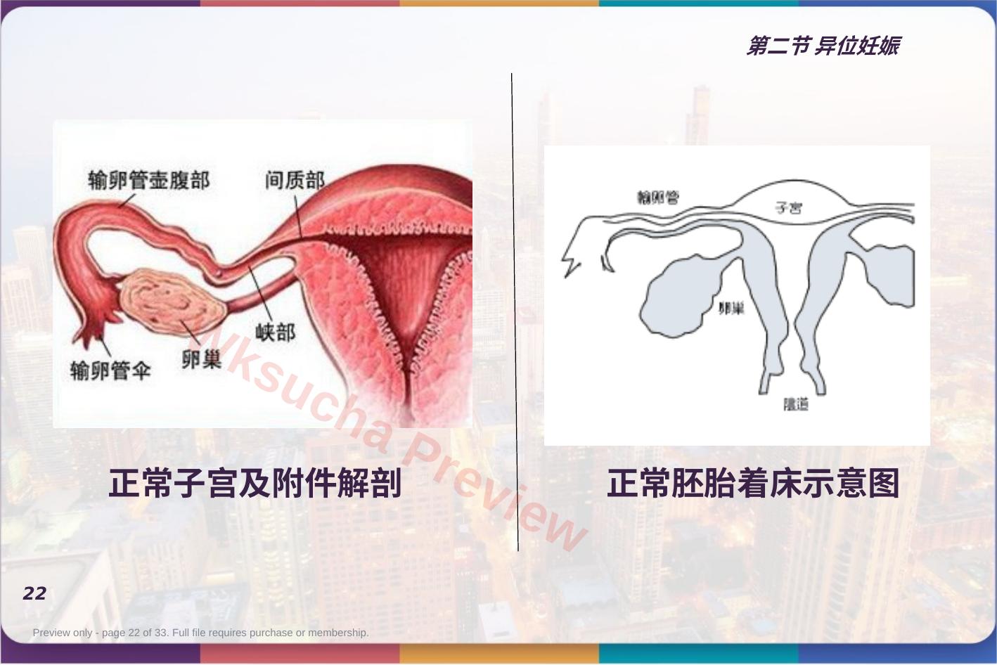 预览第 22 页