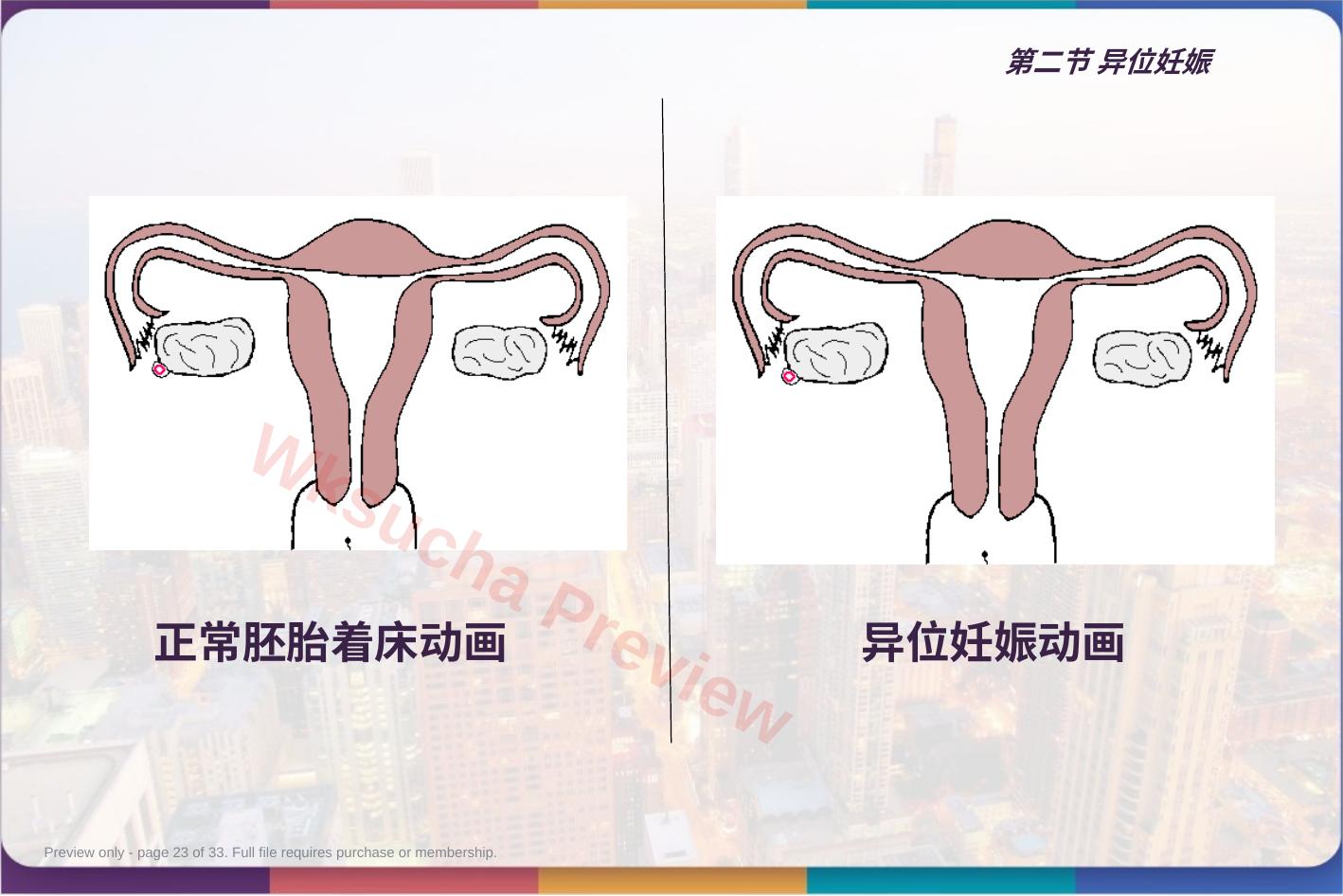 预览第 23 页