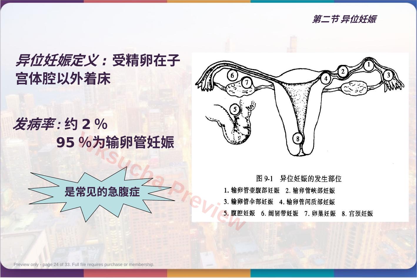 预览第 24 页