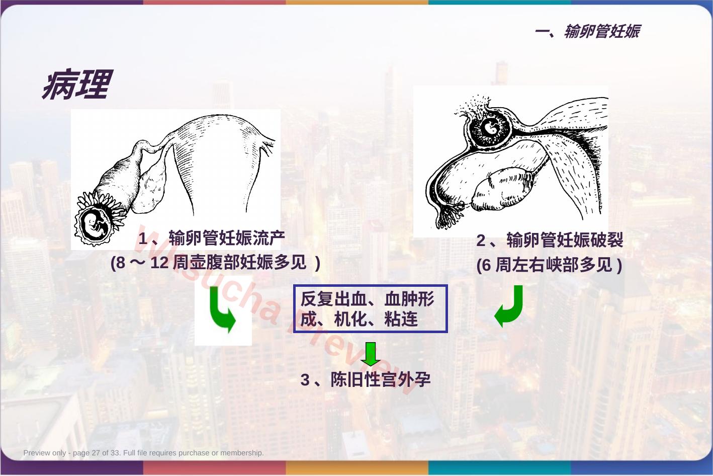 预览第 27 页