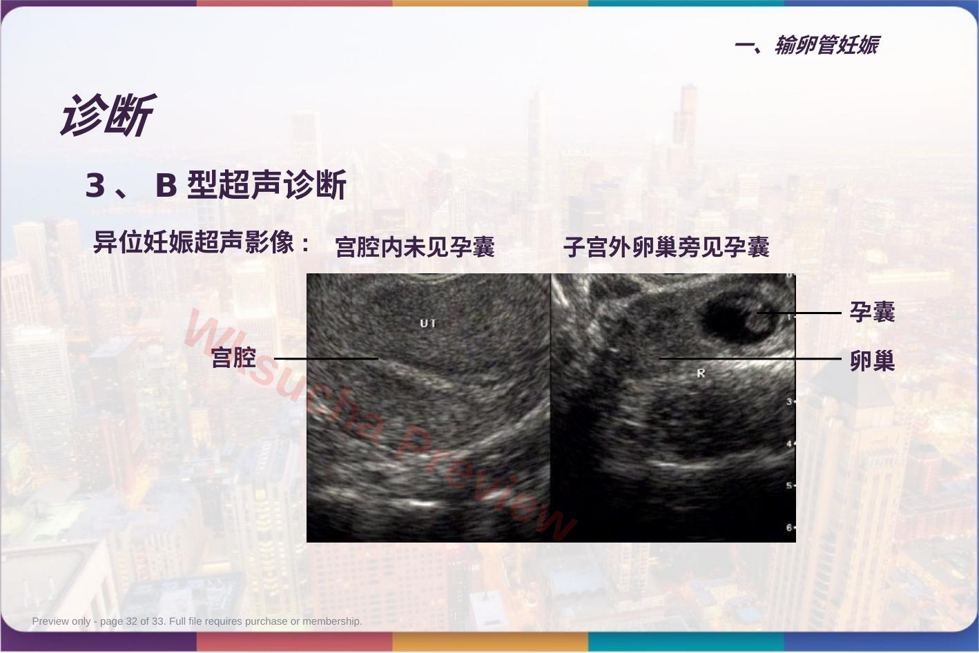 预览第 32 页