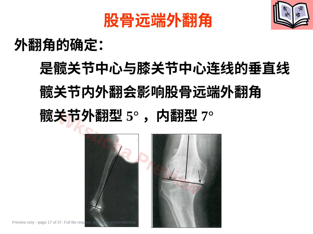 预览第 17 页