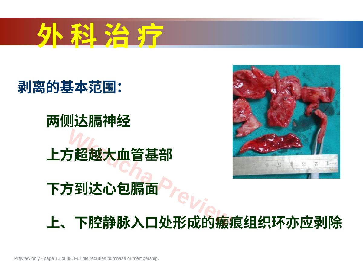 预览第 12 页