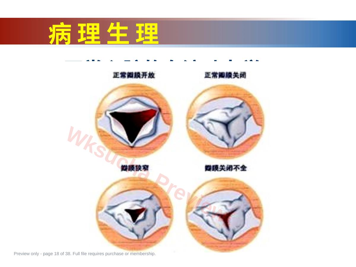 预览第 18 页
