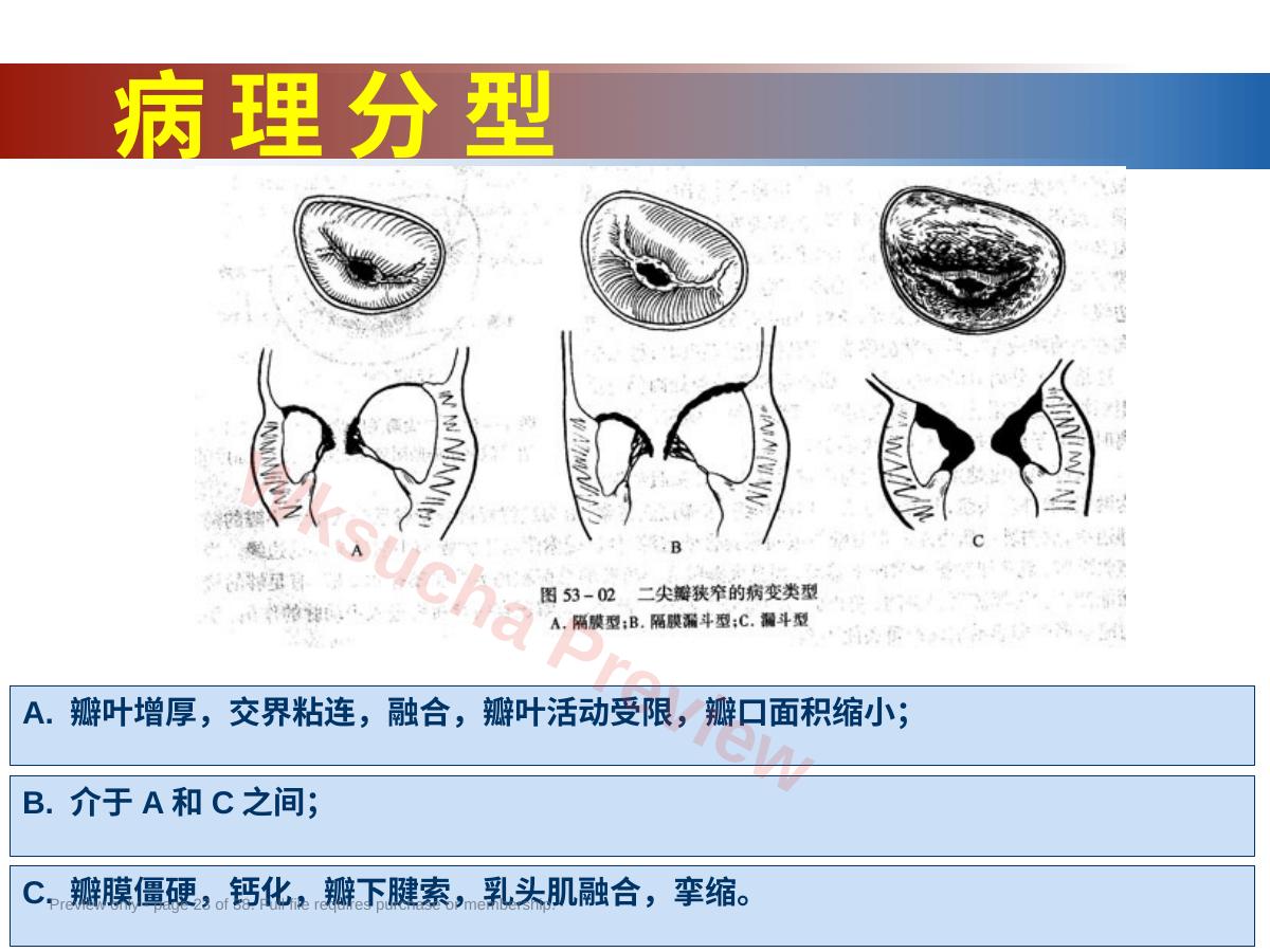预览第 23 页