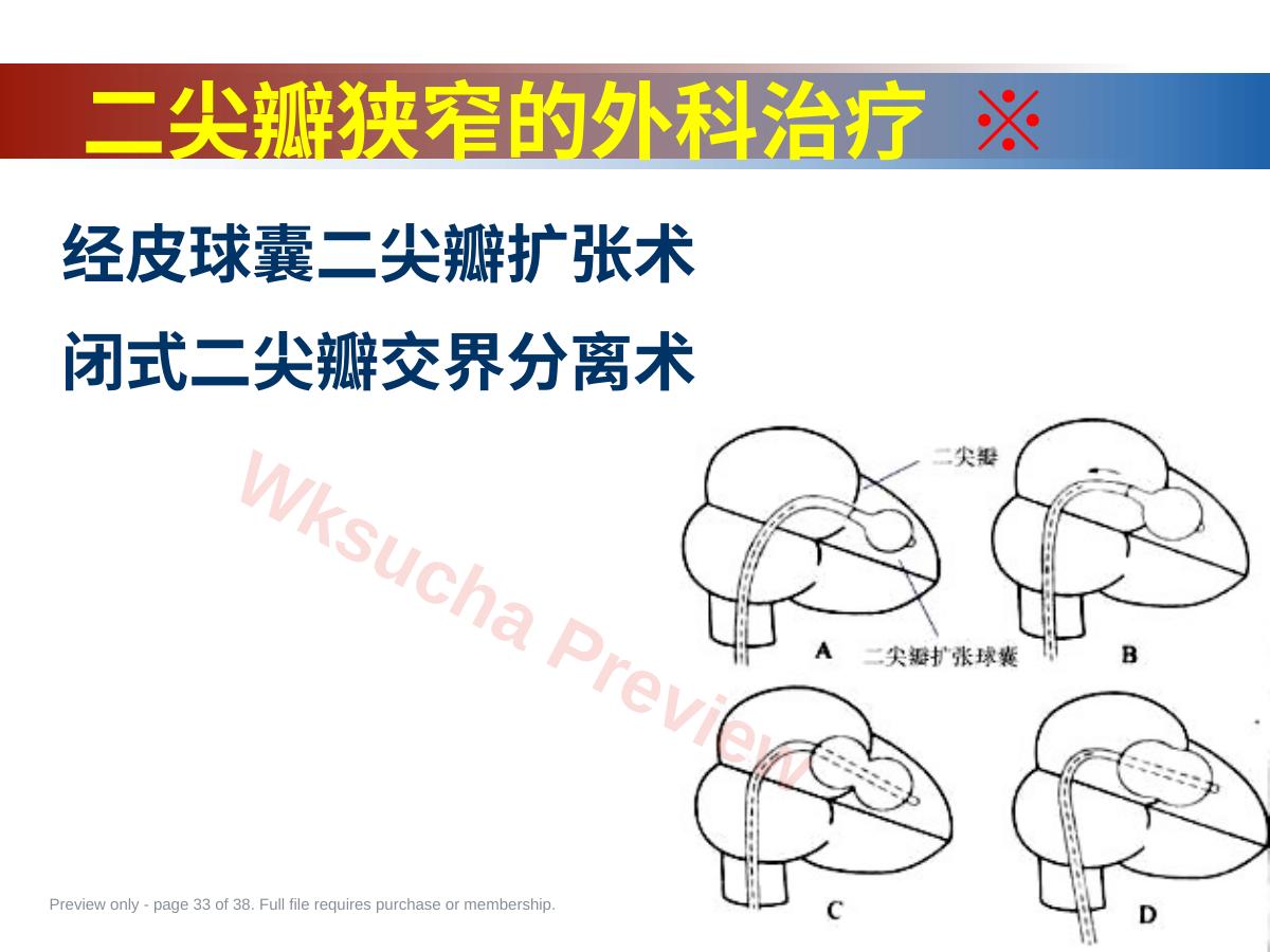 预览第 33 页