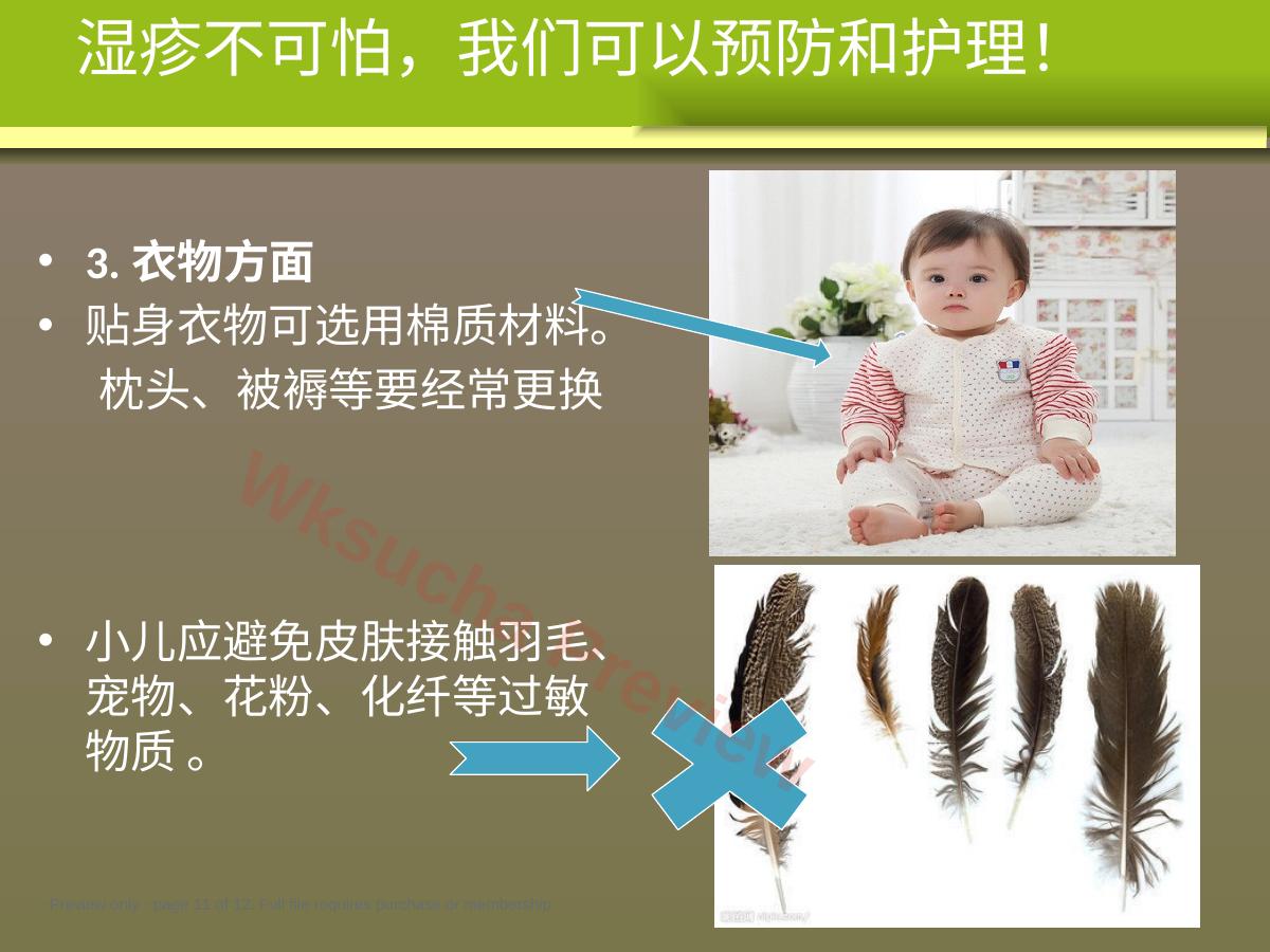 预览第 11 页