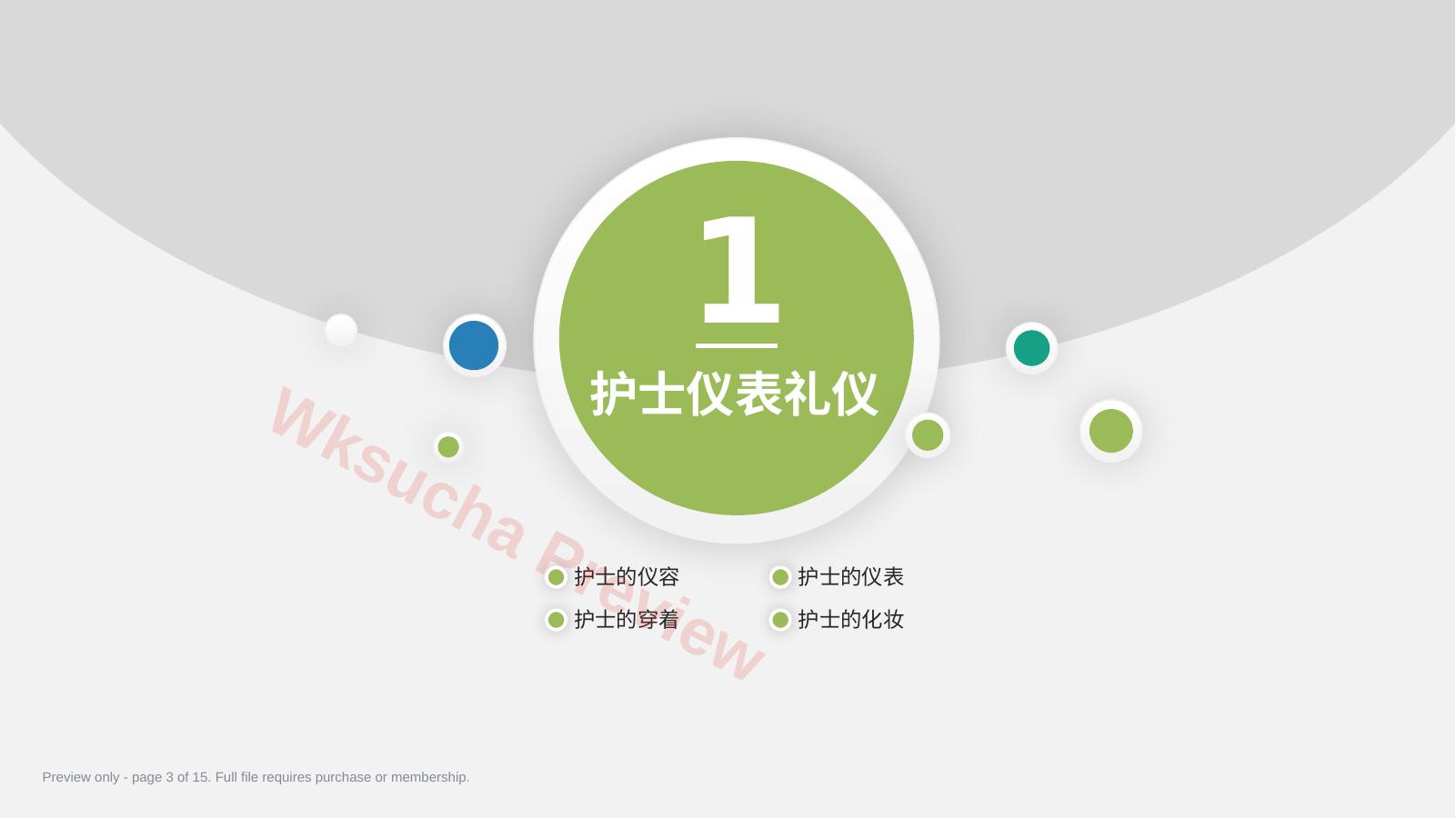 预览第 3 页
