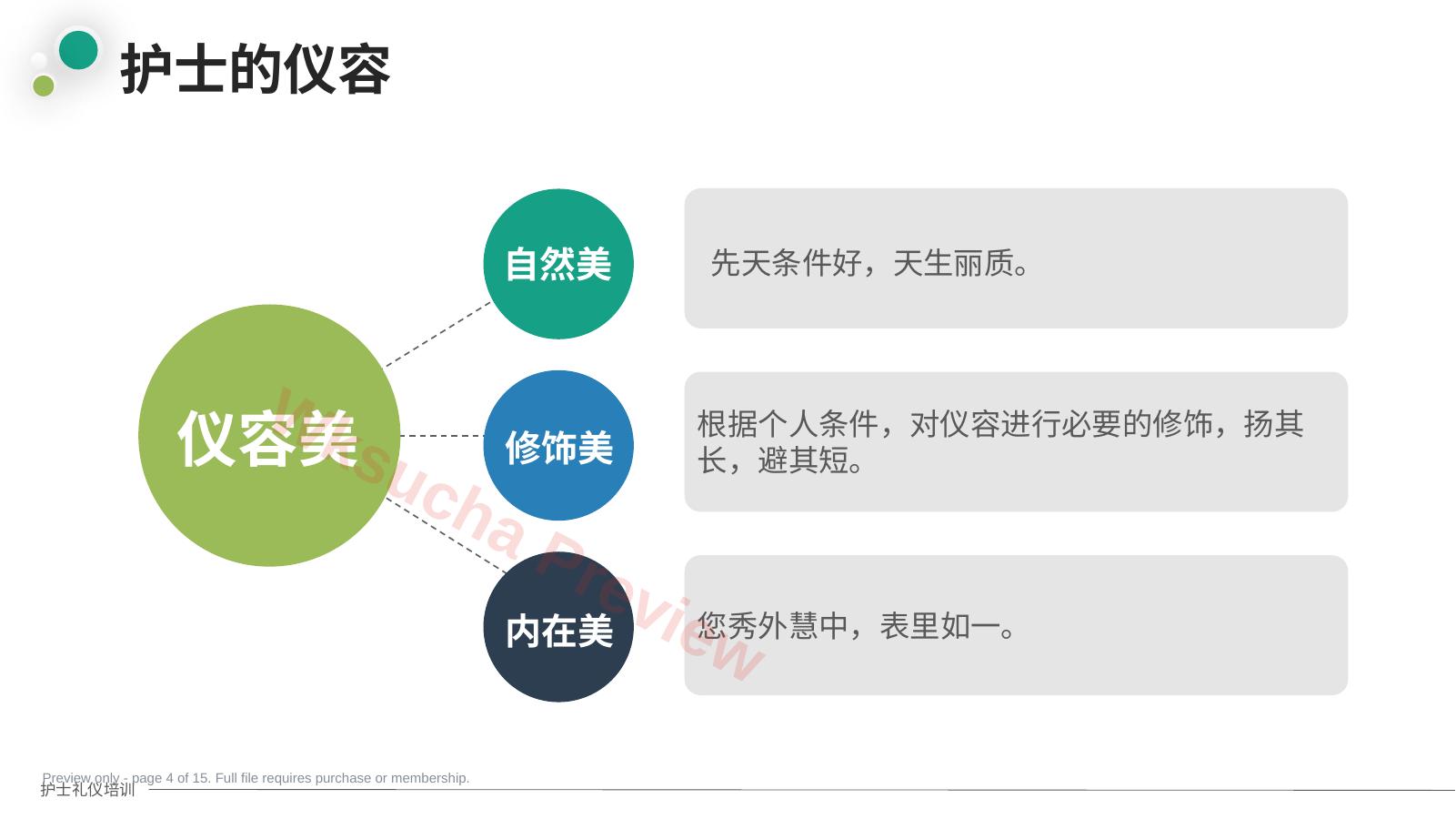 预览第 4 页
