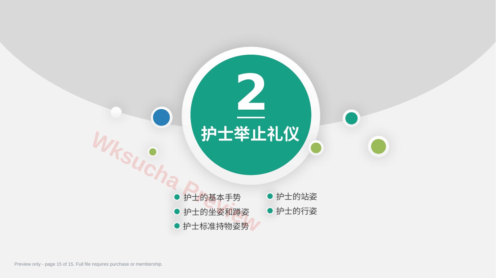 预览第 15 页