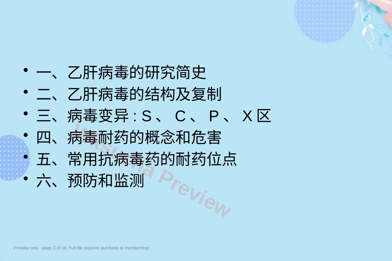 预览第 3 页