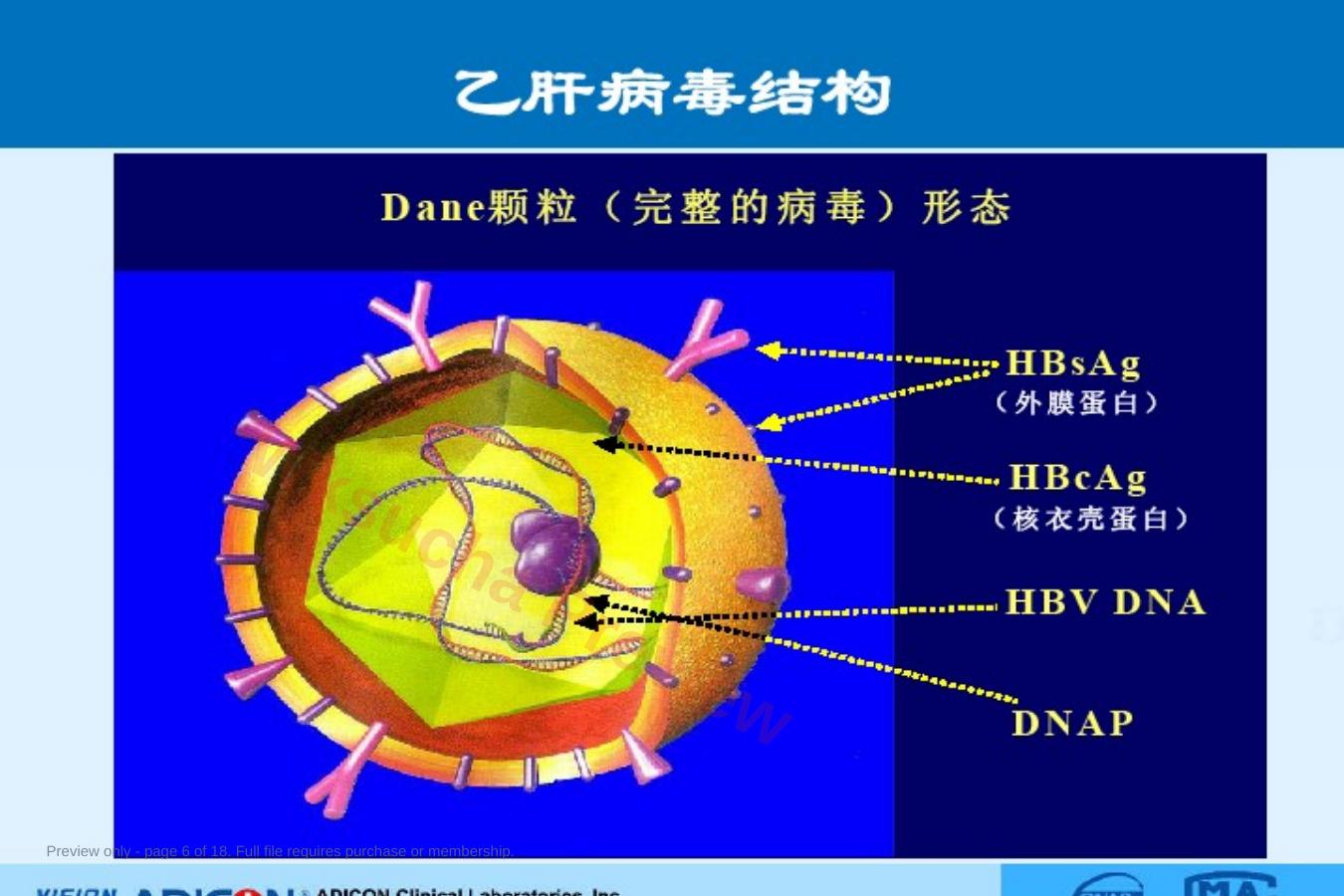 预览第 6 页