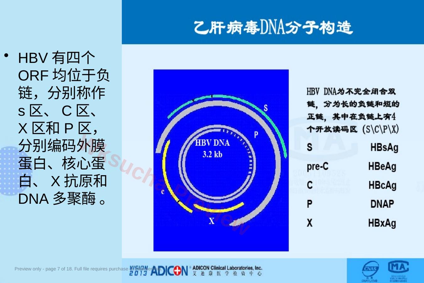 预览第 7 页