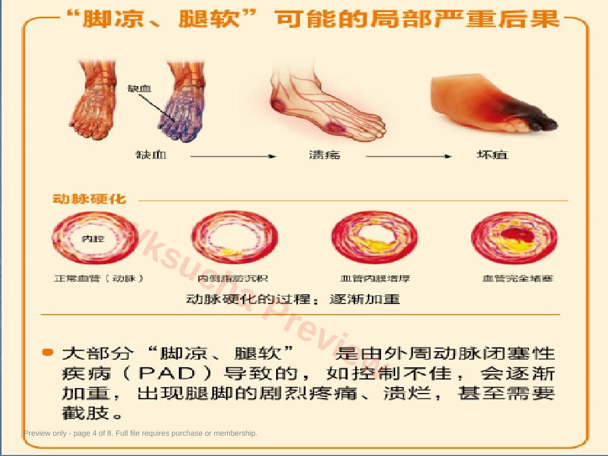 预览第 4 页
