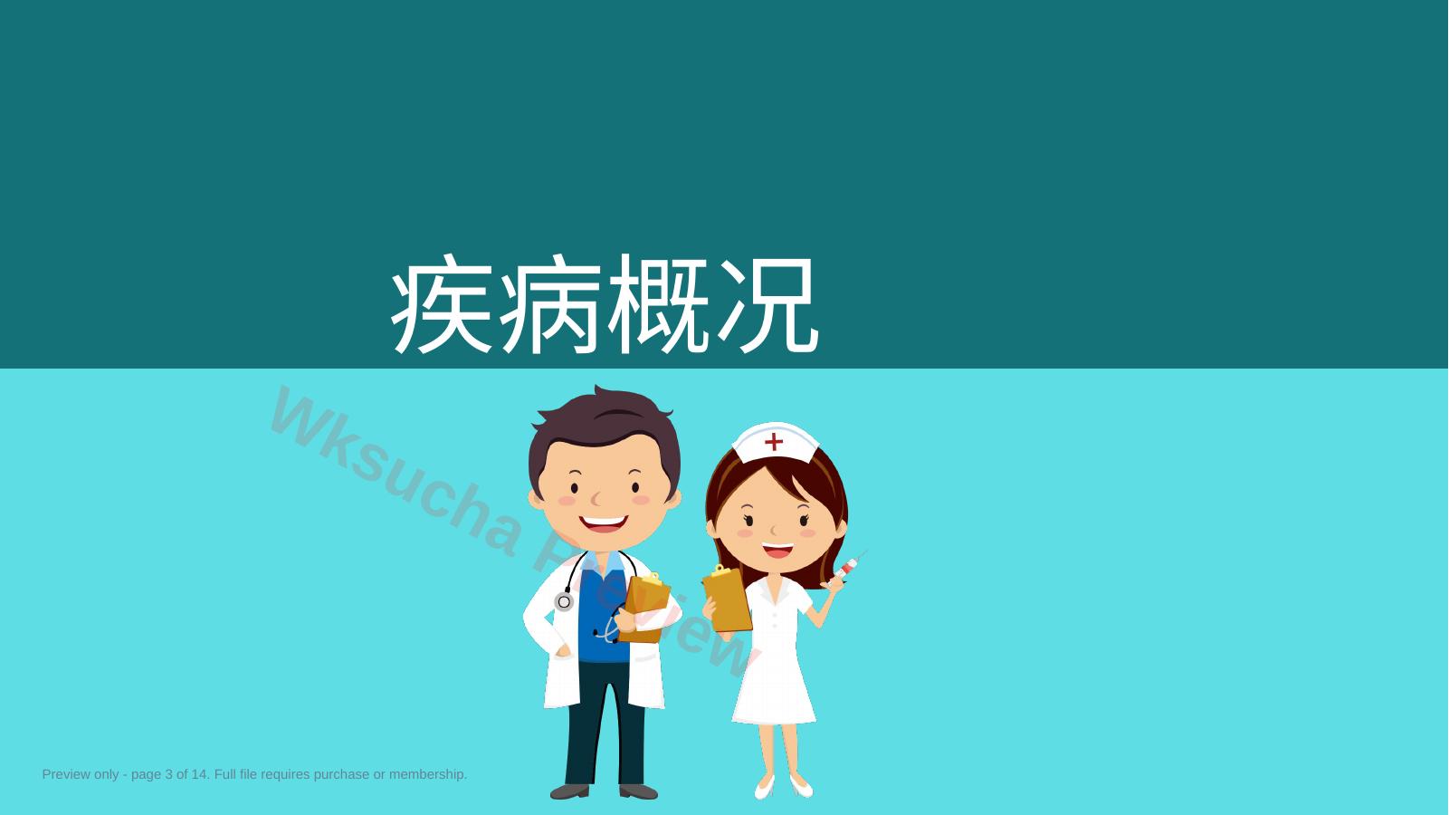 预览第 3 页