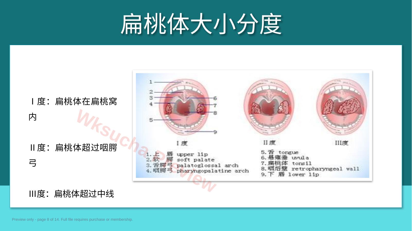 预览第 8 页