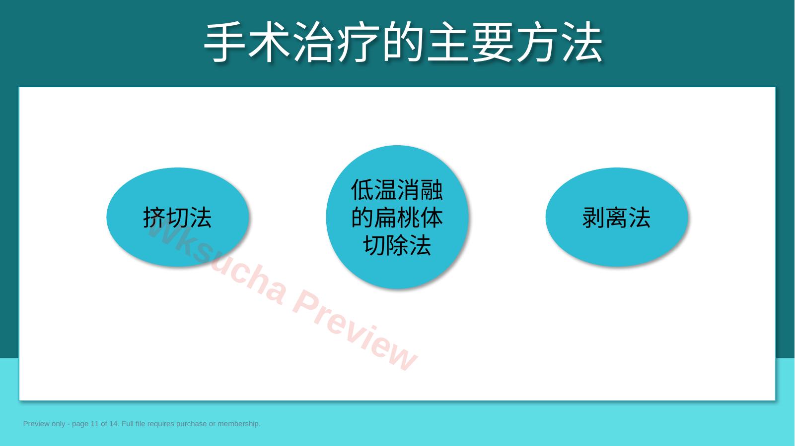 预览第 11 页