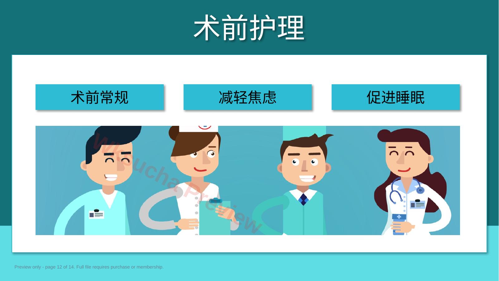 预览第 12 页