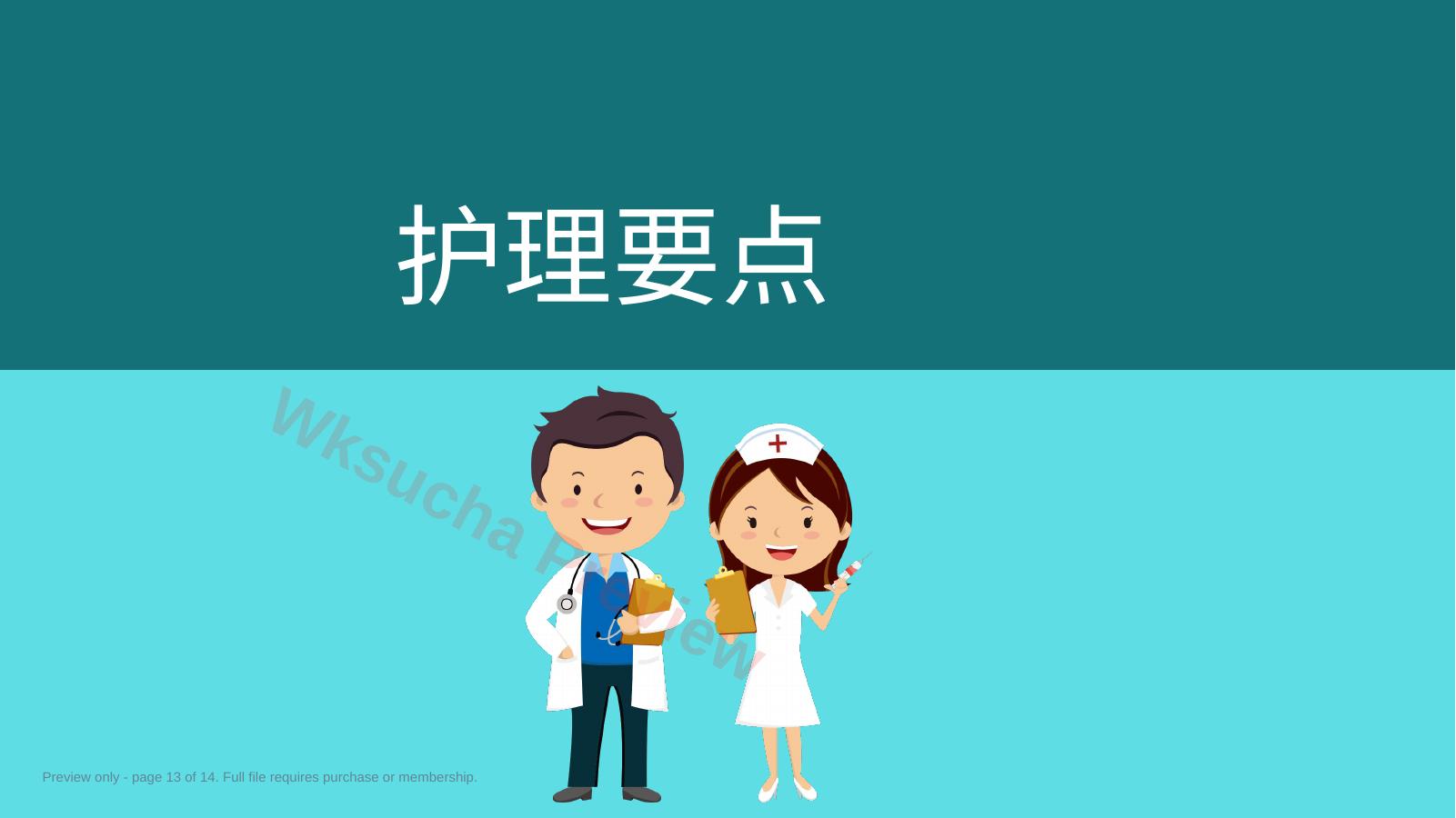 预览第 13 页