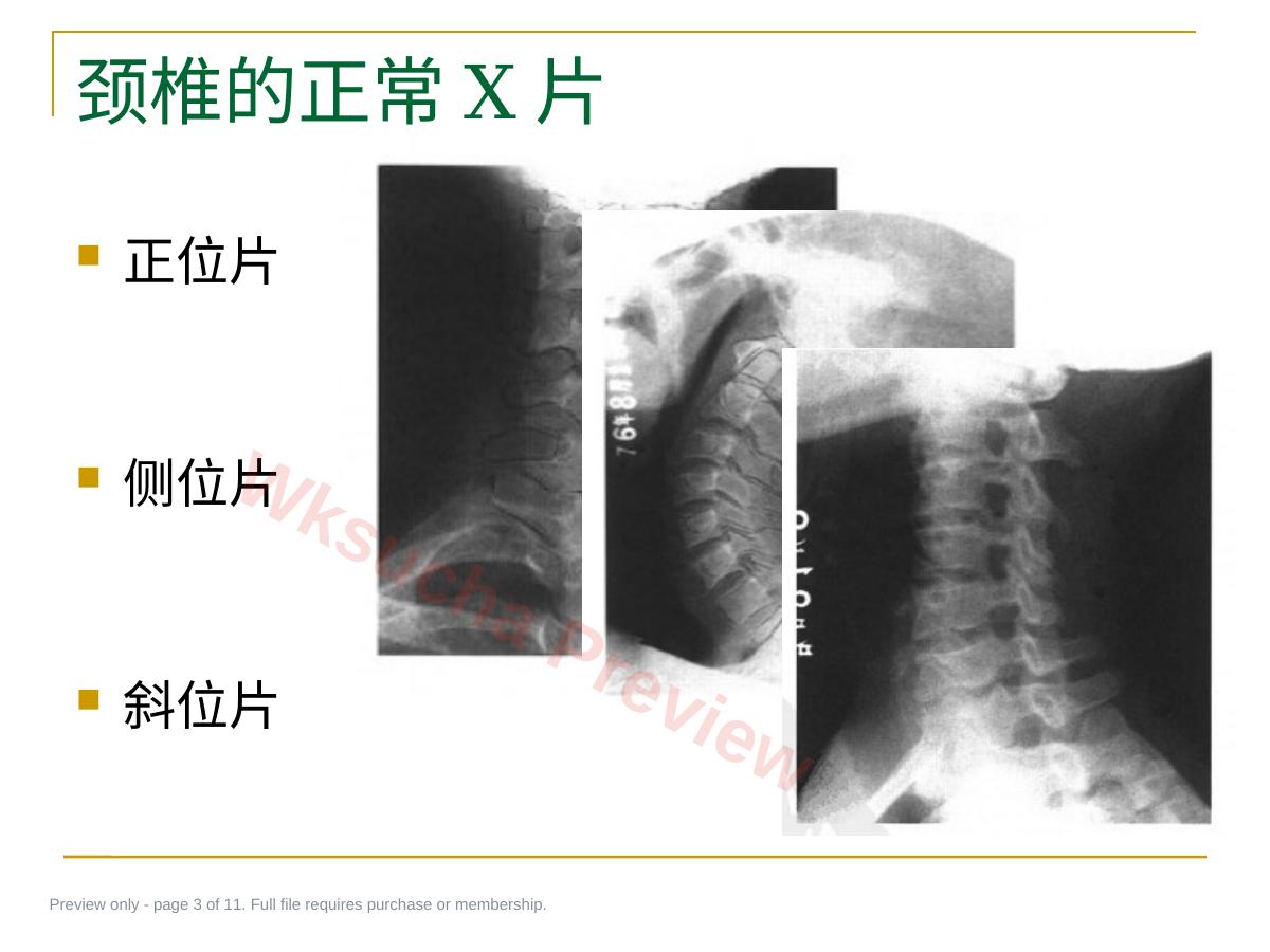 预览第 3 页