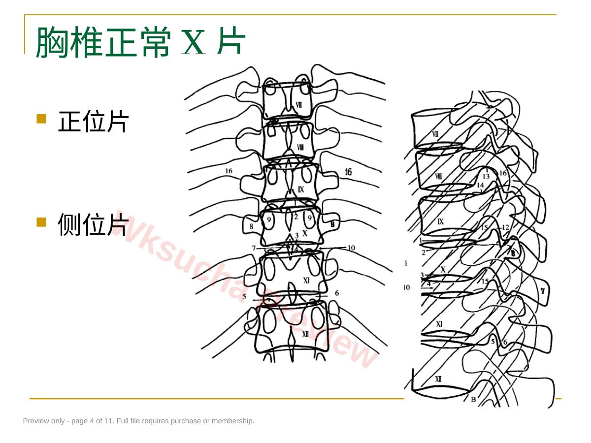 预览第 4 页