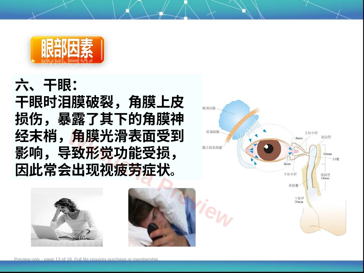 预览第 13 页