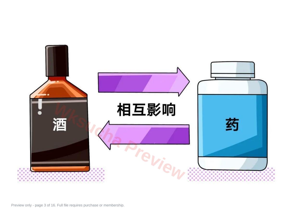 预览第 3 页