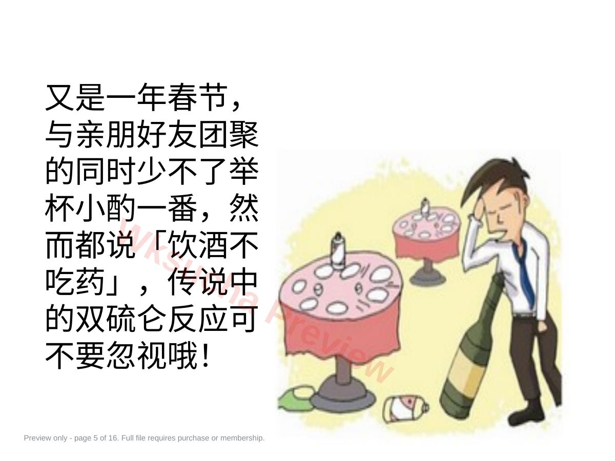 预览第 5 页