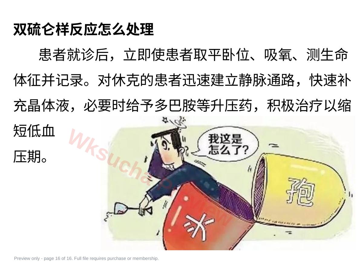 预览第 16 页