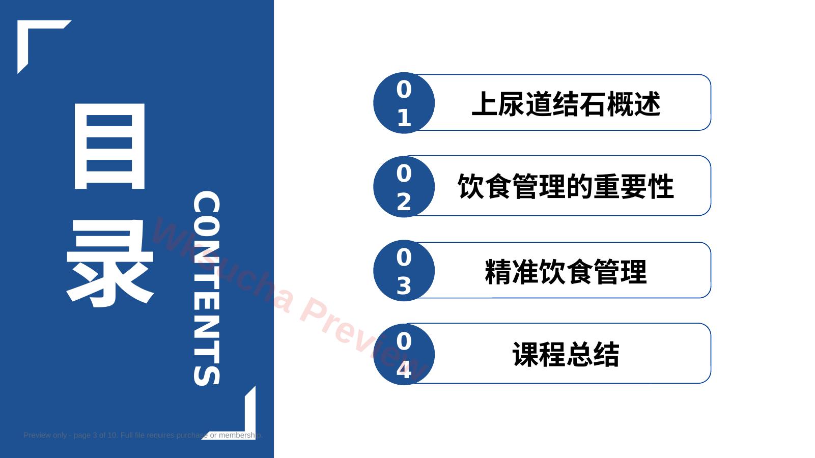 预览第 3 页