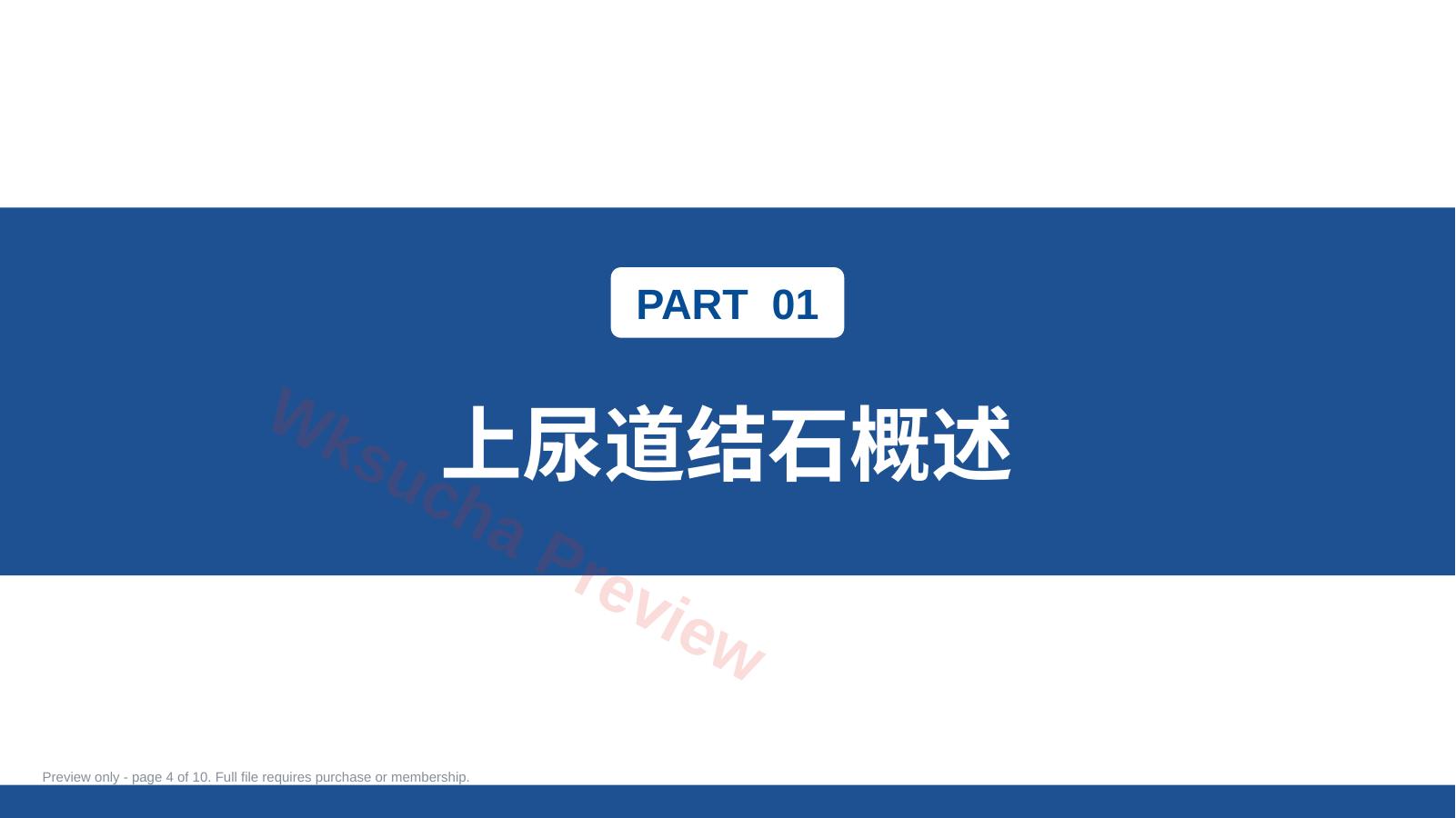 预览第 4 页