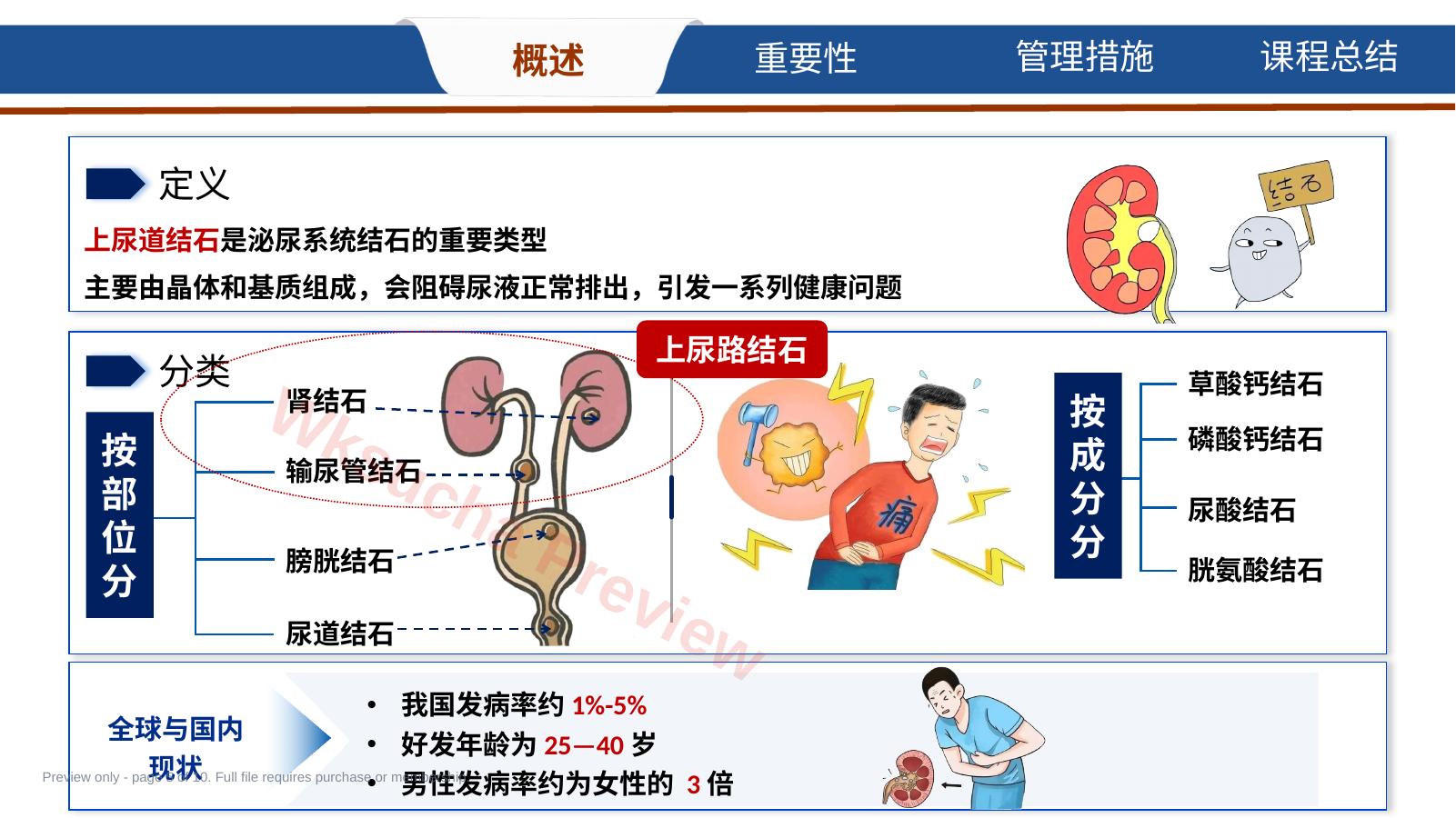 预览第 5 页