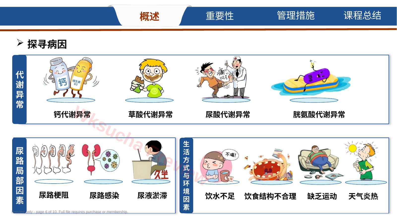 预览第 6 页