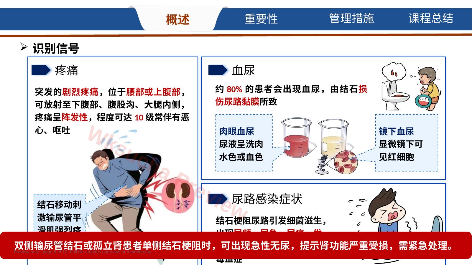 预览第 8 页