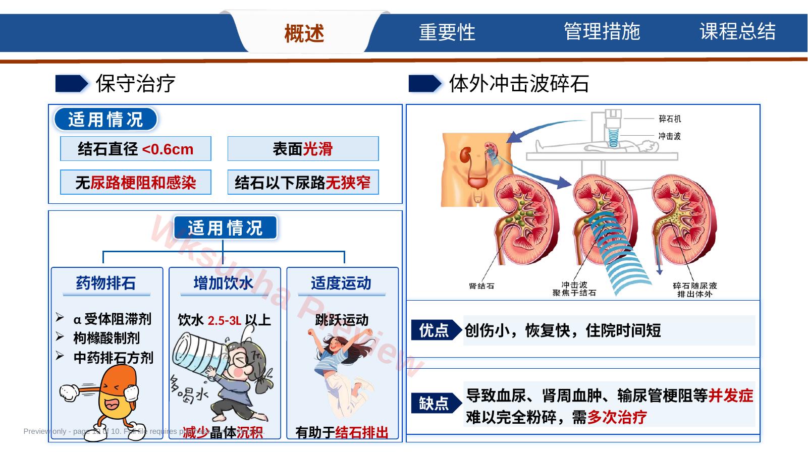 预览第 10 页