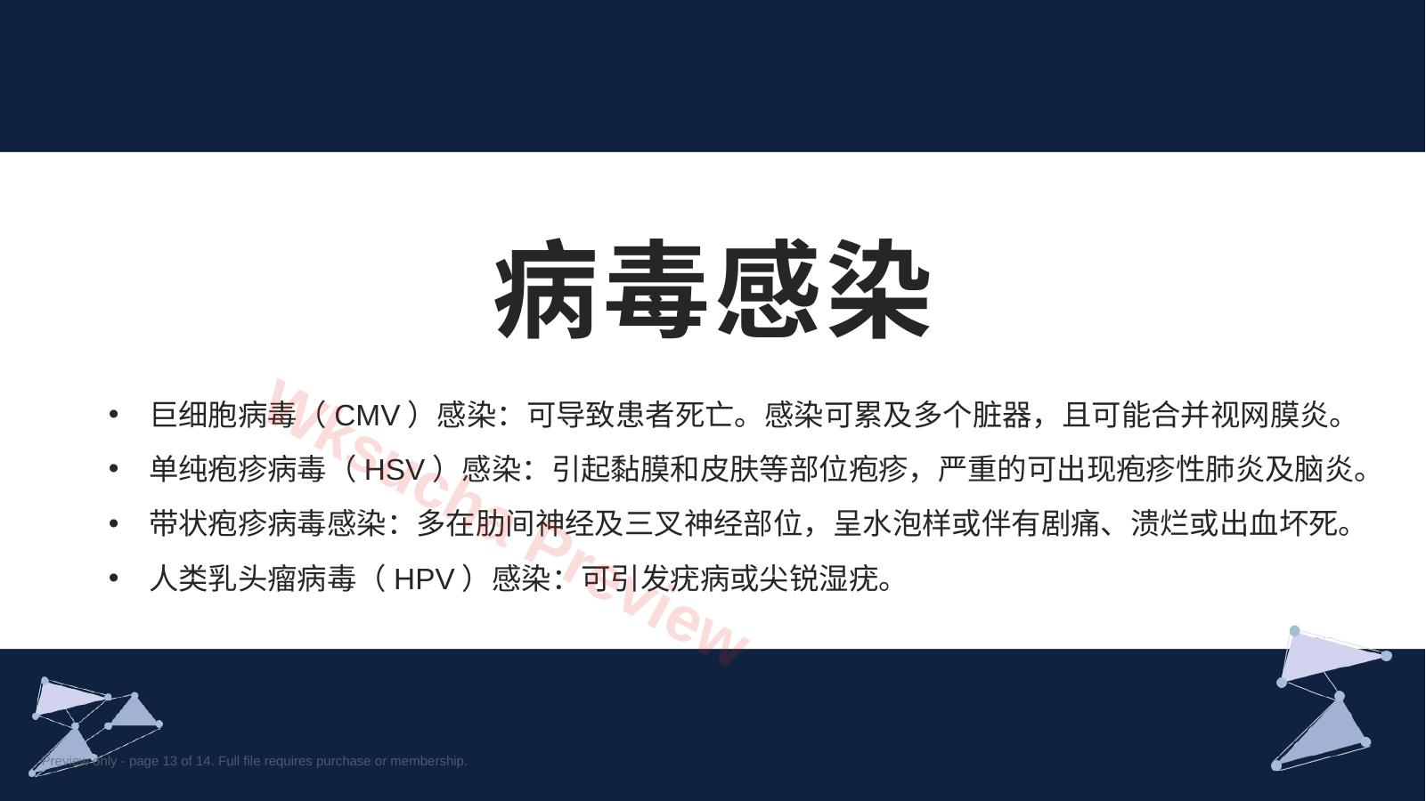 预览第 13 页