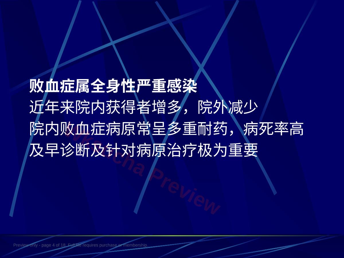 预览第 4 页