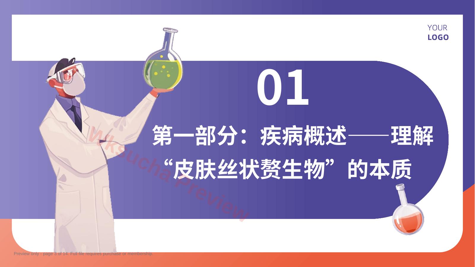 预览第 3 页