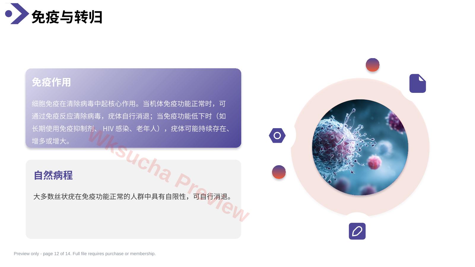 预览第 12 页