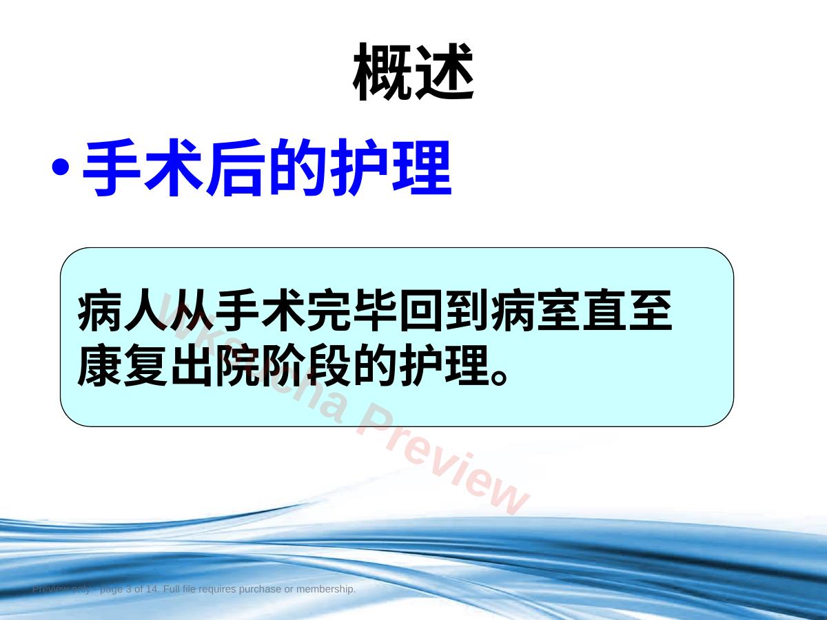 预览第 3 页