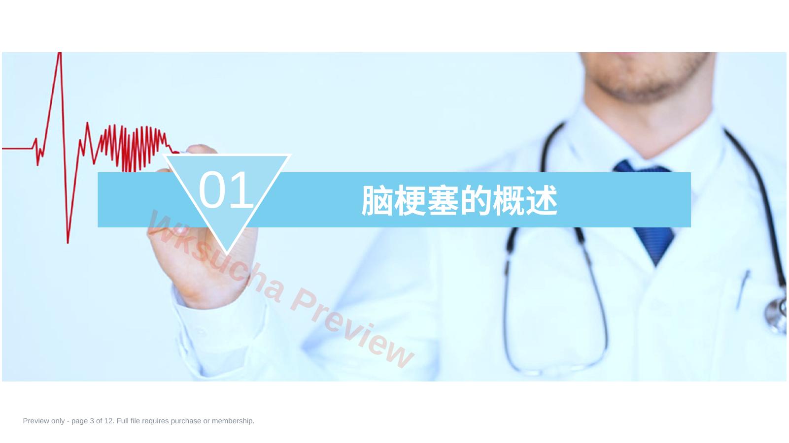 预览第 3 页