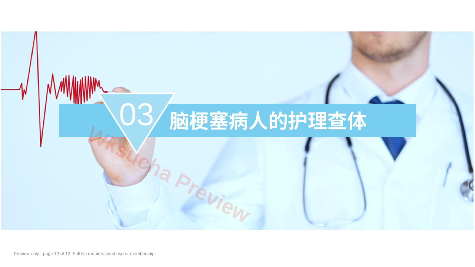 预览第 12 页