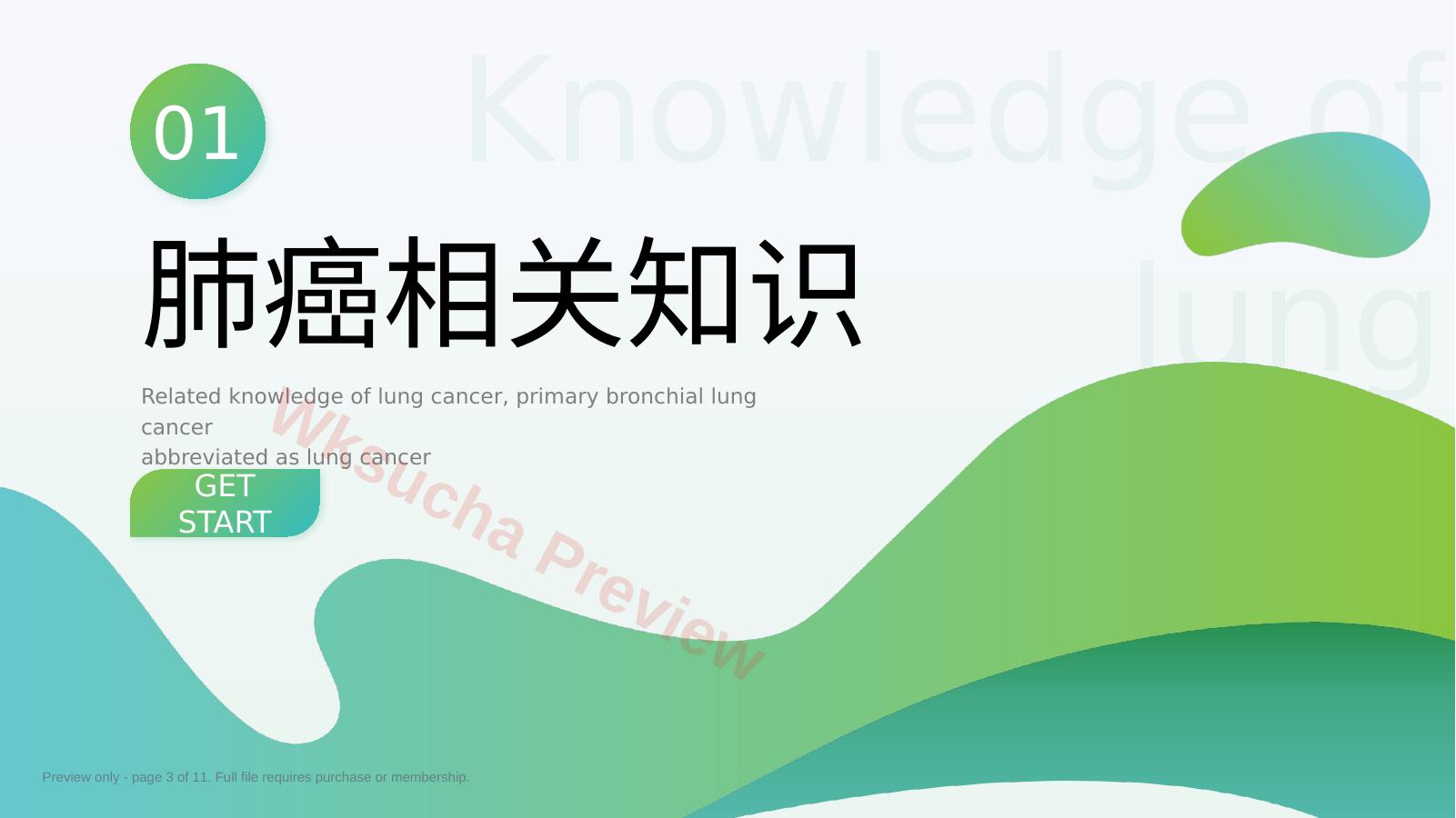 预览第 3 页